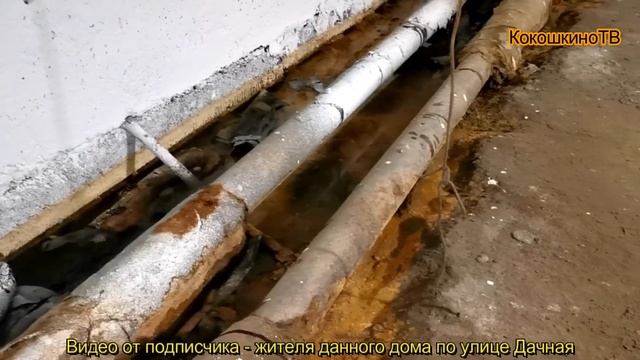 новости Кокошкино - плохие и не очень плохие