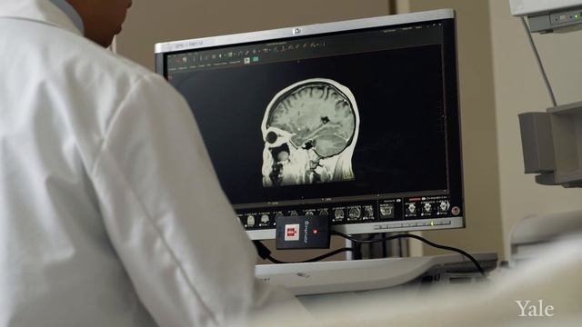 New Portable MRI Might Help Save Your Life After a Stroke смотреть онлайн