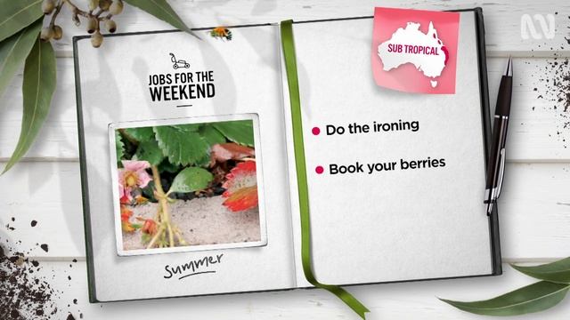 Summer: week 11 | Jobs for the weekend | Gardening Australia смотреть онлайн