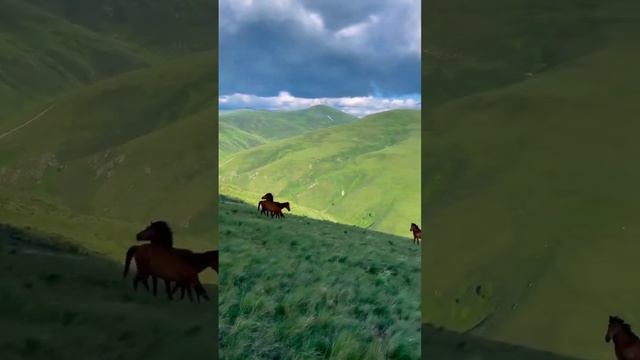 спирит душа прерий? смотреть онлайн