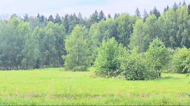 зу :571 д. Мостки смотреть онлайн