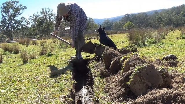 Seamless3d 3.003, Water Crisis, Antechinus, Winter Vlog