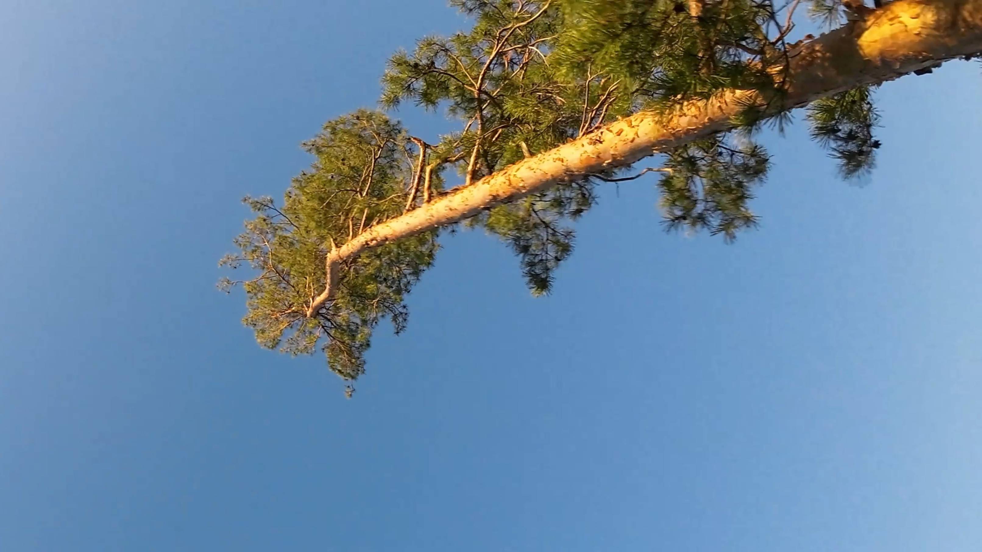 Inverted orbit, Trippy Spin #FPV смотреть онлайн