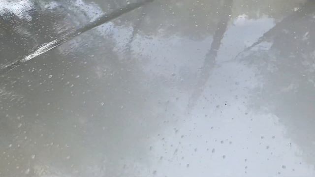 2 августа 2024 г. смотреть онлайн