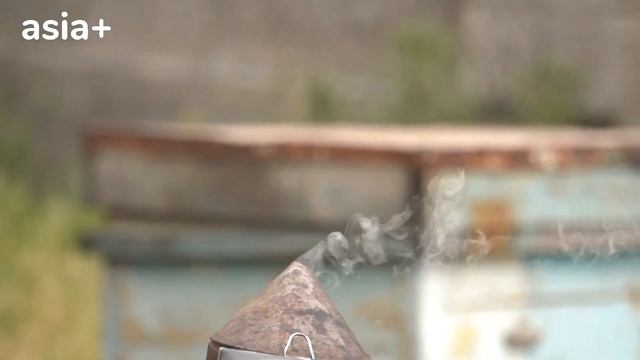Хонаводае, ки 40 сол замбурпарварӣ мекунад смотреть онлайн