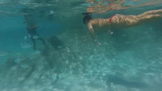 Windsurfing: Corsica - summer 2023 - RECAP смотреть онлайн