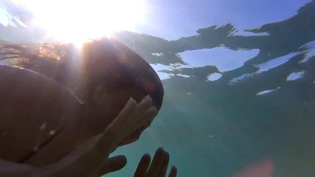 ПУТЕШЕСТВИЕ В КРЫМ | TRIP TO CRIMEA смотреть онлайн