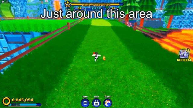 HOW TO GET SUMMER SONIC AND CHEF AMY FAST IN SONIC SPEED SIMULATOR (Tips and tricks) смотреть онлайн