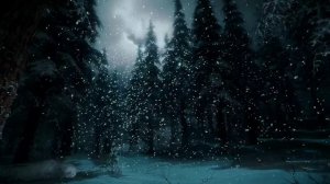 Посмотрите и насладитесь звуками зимнего ветра и метели в красивом ночном лесу.