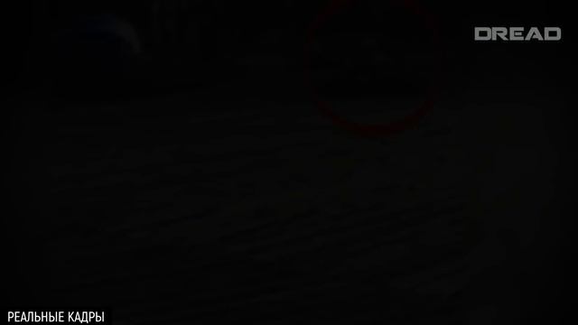 БОНУС ВИДЕО - DREAD Boosty-01 смотреть онлайн