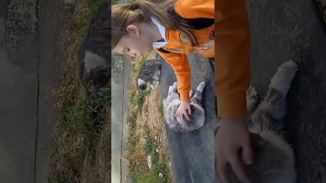 Бездомыши во дворе смотреть онлайн