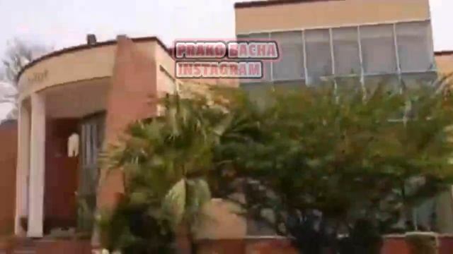 University of Agriculture Faisalabad | UAF | Life at UAF | is it good option ? смотреть онлайн