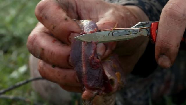 Big Sky, Bigger Birds: Montana Wild Turkey | S2E01 | MeatEater смотреть онлайн