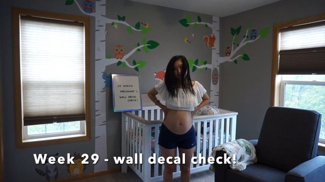 Pregnancy Transformation | Week By Week Pregnant Belly Progression