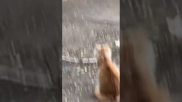  смотреть онлайн