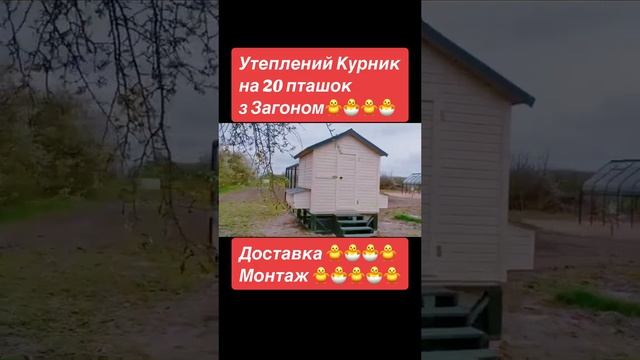 Утеплений Дерев'яний #курятник #Thermowood_Production ☎️+38067-201-50-50 смотреть онлайн