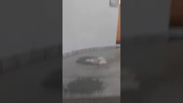 Внутри башни 