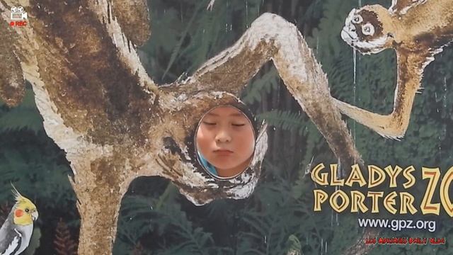 Summer Fun at the Brownsville Gladys Potter Zoo смотреть онлайн