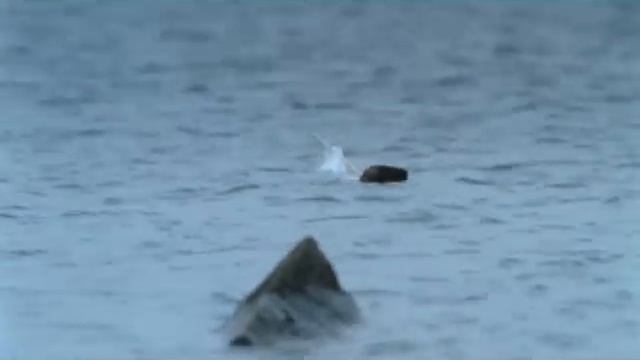 Кукрыниксы Никто Кукрыниксы Жизнь и Смерть смотреть онлайн