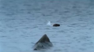 Кукрыниксы Никто Кукрыниксы Жизнь и Смерть