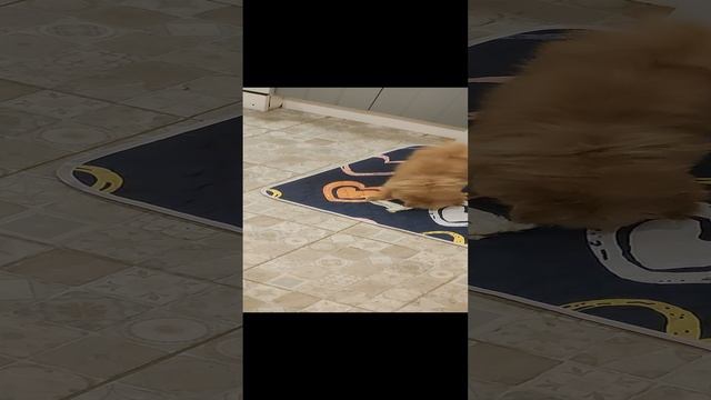 Персик смотреть онлайн