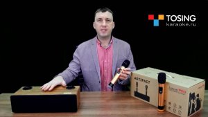 Караоке система для дома Jonsen PRO 2.1 | Колонка с двумя микрофонами для караоке