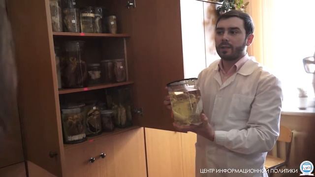 Проект для школьников «Достойный выбор», 17 апреля 2015 г. смотреть онлайн