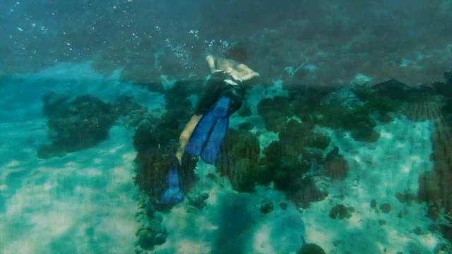 Indonesia 2020 - 3 weeks island hopping смотреть онлайн