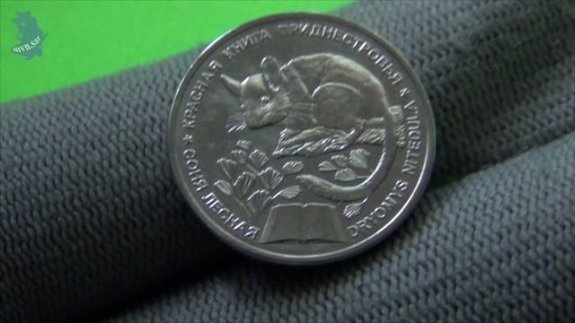 Приднестровье . 1 рубль 2023 года. Красная книга. Соня лесная. #702 смотреть онлайн