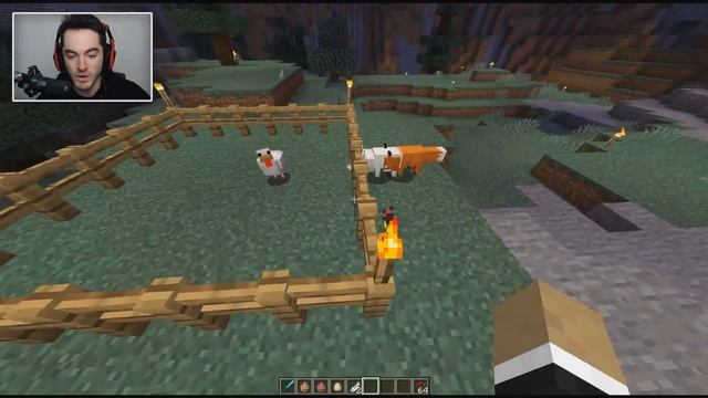 MINECRAFT FOX смотреть онлайн