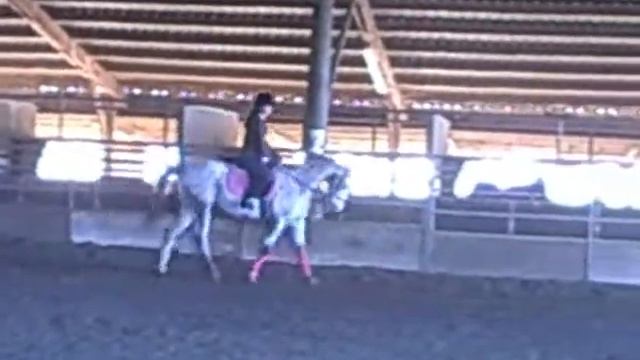 Hap~ Every Little Girl's Dream смотреть онлайн