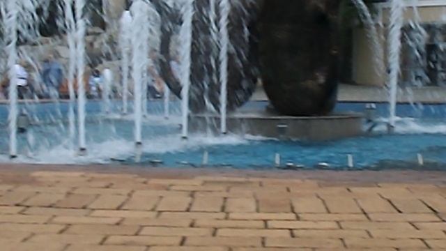 DSCN4069 Терский конный завод,Железноводск