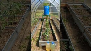 Теплица капля видео отзыв от нашего клиента