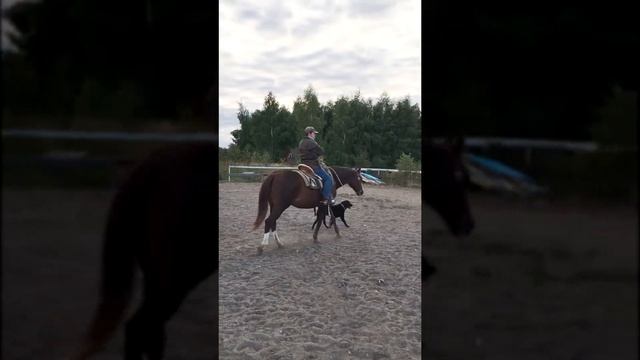 "Нек-рейнинг" смотреть онлайн