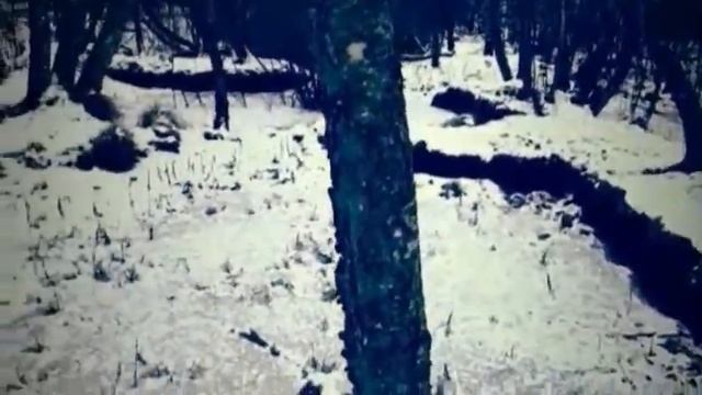 MONGOFUCK - TIRED AT LAST смотреть онлайн