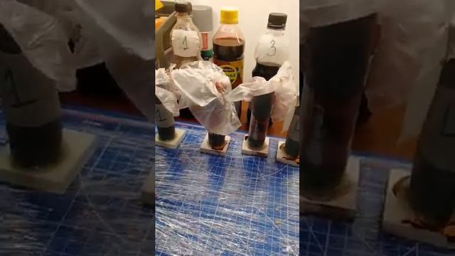 Глубокое окрашивание древесины смотреть онлайн