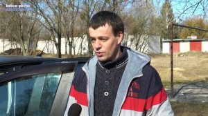 Жители одного из дворов третий год не могут избавиться от ворон 1