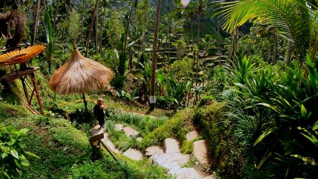 The Guide to Bali - Indonesia Travel Video смотреть онлайн