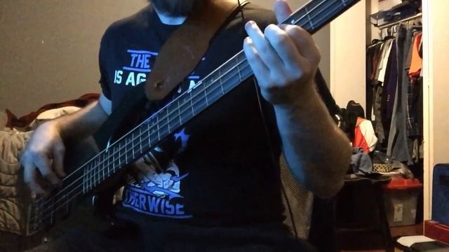 Maximum The Hormone-We Were The 2/Haiyana Spain [Bass Cover] смотреть онлайн