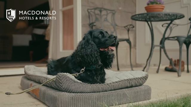 Make it a Summer to Remember | Macdonald Hotels & Resorts смотреть онлайн