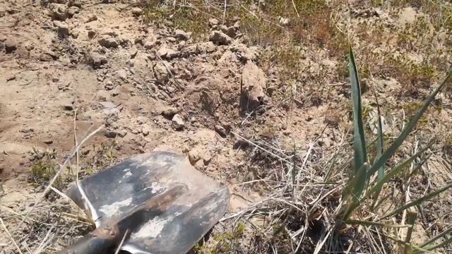 МЕТАЛЛОКОП 2021. ПИРАТ В ДЕЛЕ. ПЕРВЫЙ ПРОБНЫЙ ВЫЕЗД смотреть онлайн