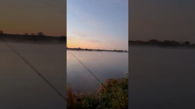 Рыбалка на фидер смотреть онлайн