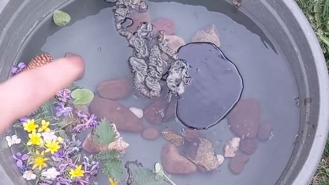 Чистка в потоке 1 часть смотреть онлайн