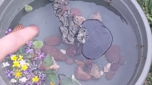 Чистка в потоке 1 часть