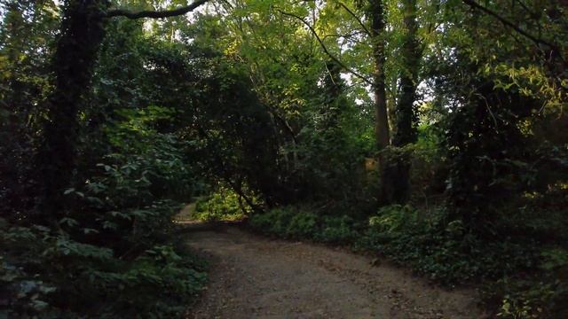 Walking the Hampstead Heath Circuit - Two hours of late summer London смотреть онлайн