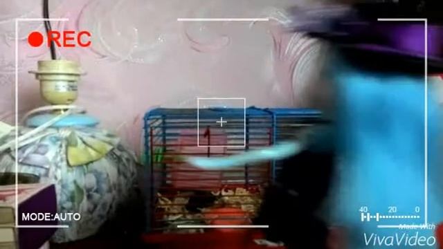 песня Рарити смотреть онлайн