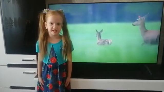 Васильева Софья, 5 лет, МОУ ДО Центр внешкольной работы "Юность". Изостудия "Цветные ладошки" смотреть онлайн