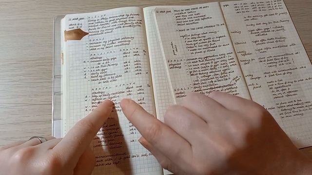 Set up for my next 12 week year | Hobonichi Weeks 2023 | Functional planning | One pen system смотреть онлайн