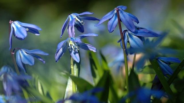 16 Березня Народні прикмети та традиції на свято ЩО НЕ МОЖНА РОБИТИ смотреть онлайн