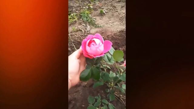 Сторис - часть 2 смотреть онлайн